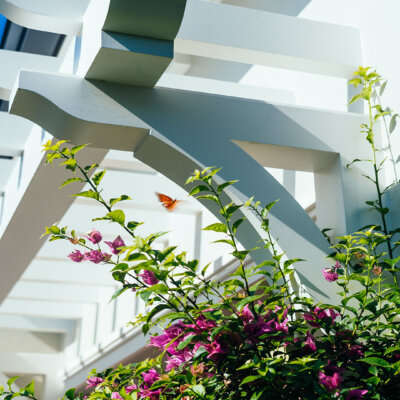 trellis or pergola made of pvc manufactured by hardie boys inc
